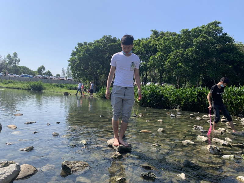 放假吃鸡的第二张照片--香港王婆说媒